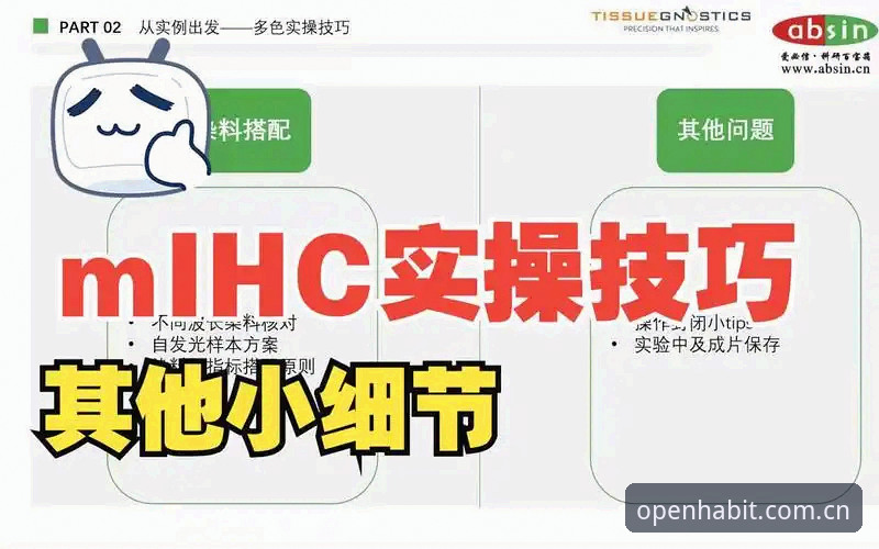 解决ab体育APP登录常见问题的5个实操细节，老用户都在用